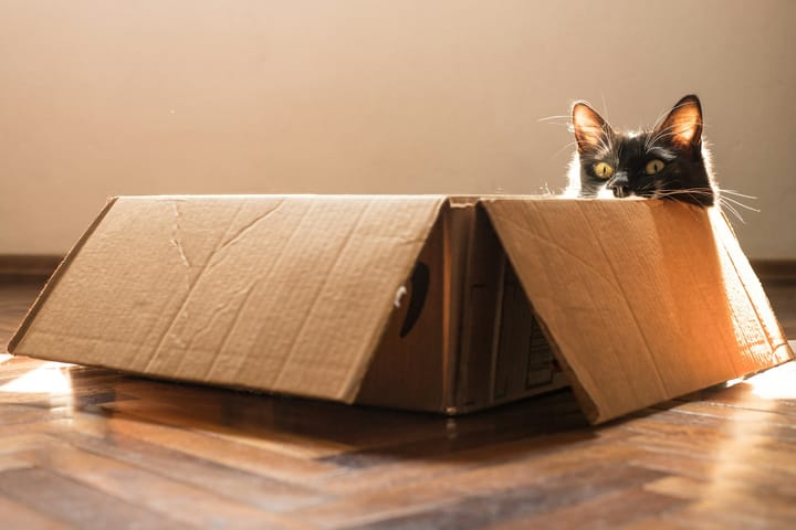 How did that box become family?